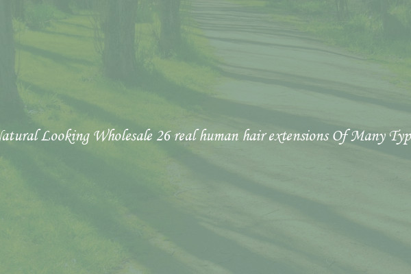 Natural Looking Wholesale 26 real human hair extensions Of Many Types