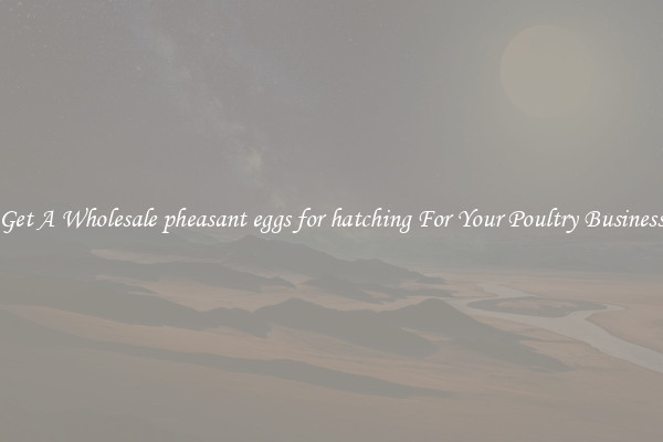 Get A Wholesale pheasant eggs for hatching For Your Poultry Business