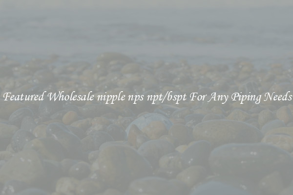 Featured Wholesale nipple nps npt/bspt For Any Piping Needs