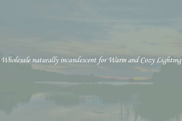Wholesale naturally incandescent for Warm and Cozy Lighting