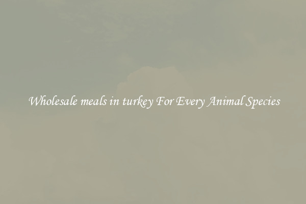 Wholesale meals in turkey For Every Animal Species