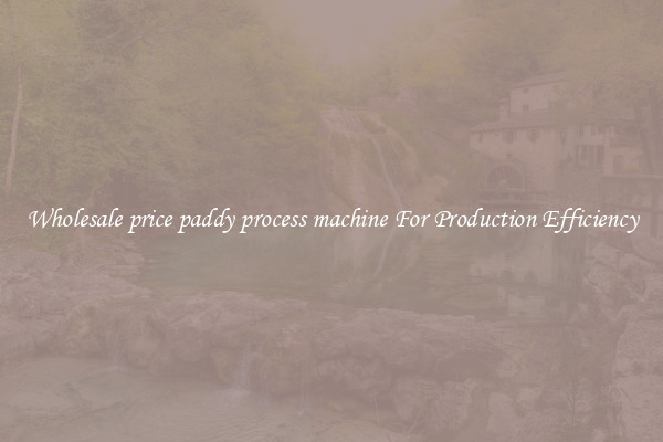 Wholesale price paddy process machine For Production Efficiency