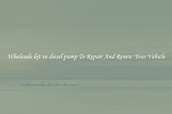 Wholesale kit ve diesel pump To Repair And Renew Your Vehicle