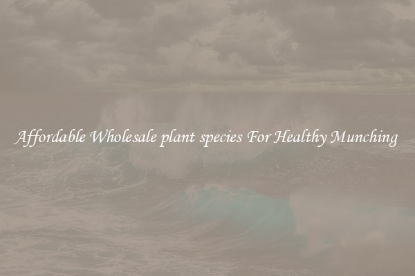 Affordable Wholesale plant species For Healthy Munching 