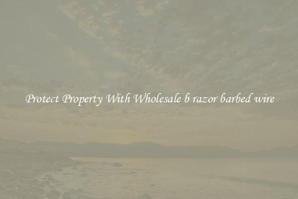Protect Property With Wholesale b razor barbed wire