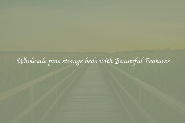 Wholesale pine storage beds with Beautiful Features