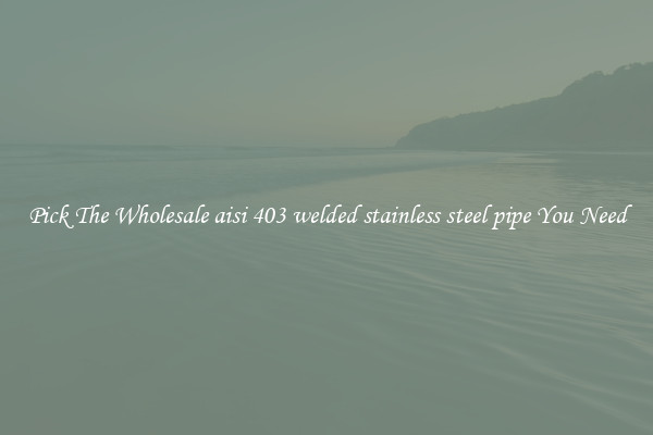 Pick The Wholesale aisi 403 welded stainless steel pipe You Need