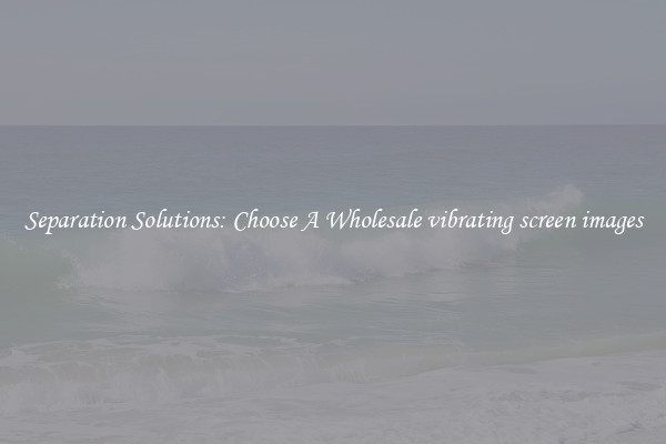 Separation Solutions: Choose A Wholesale vibrating screen images