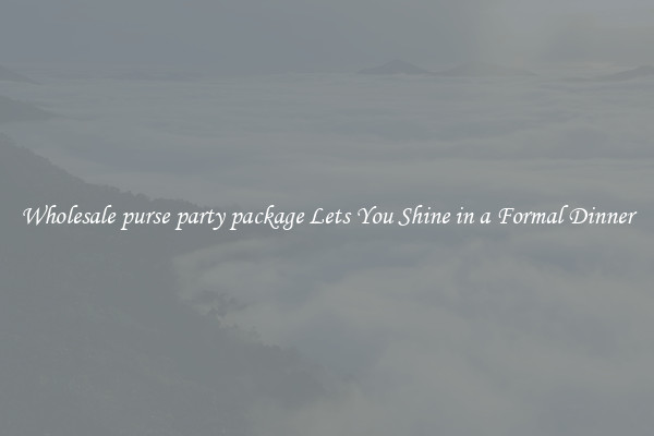 Wholesale purse party package Lets You Shine in a Formal Dinner