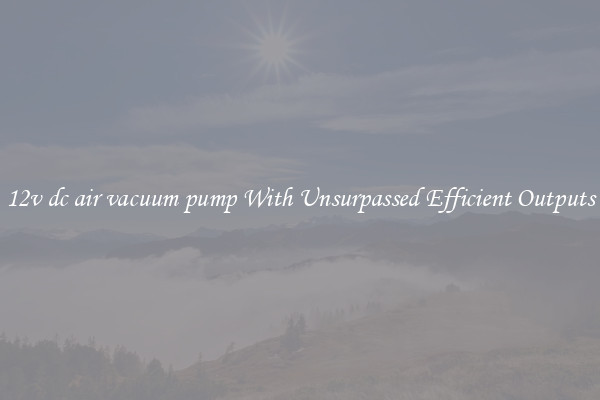 12v dc air vacuum pump With Unsurpassed Efficient Outputs