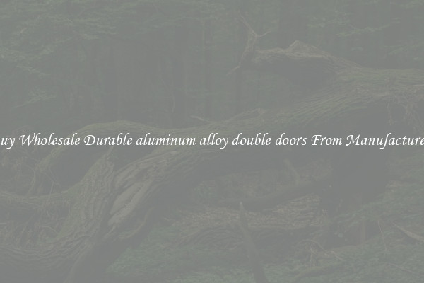 Buy Wholesale Durable aluminum alloy double doors From Manufacturers