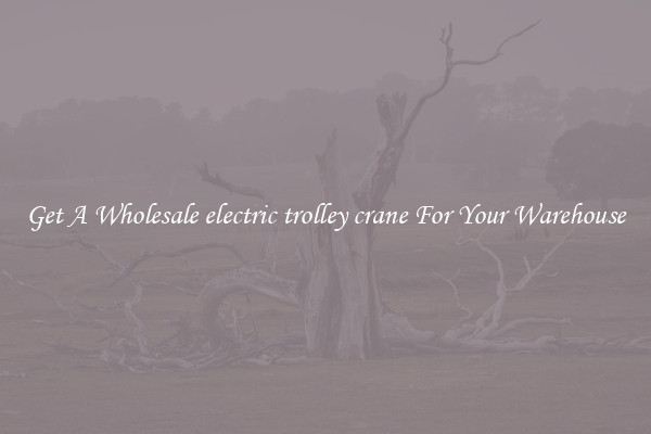 Get A Wholesale electric trolley crane For Your Warehouse