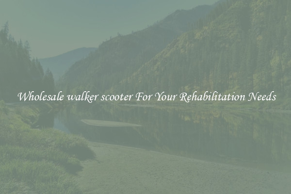 Wholesale walker scooter For Your Rehabilitation Needs