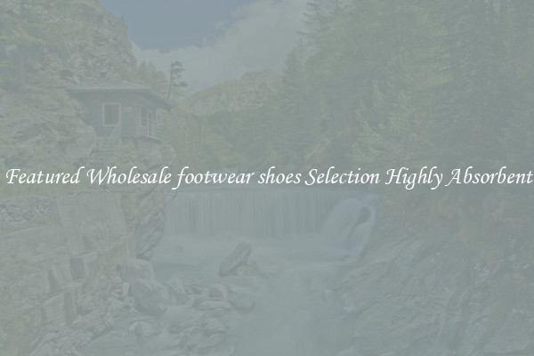 Featured Wholesale footwear shoes Selection Highly Absorbent
