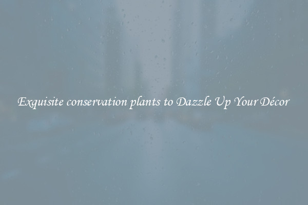 Exquisite conservation plants to Dazzle Up Your Décor 